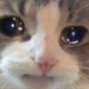 catto_sadge Discord emoji