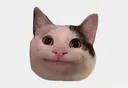 Catmeme catmeme Discord Emoji