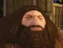 hp_hagridps1