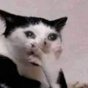 omg