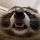 TPbigschnoz TPbigschnoz