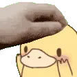 petshyduck