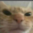 angey Discord emoji