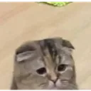 sad
