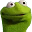 confused_kermit