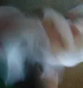 catviolence