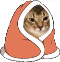 leonblanket