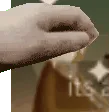 SMC_MothsonPet
