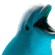 AceDolphin