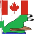 borpaCA borpaCA