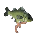 FishRun