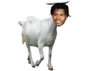 LilBaby_goat
