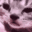 ST_whynoboostsalamtalkserver Discord emoji