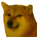 CheemsU CheemsU