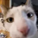 h_12