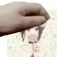 lilliumpat