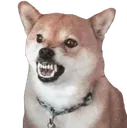 rawr rawr