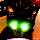 OmaewaCat