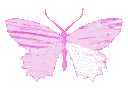 memeified_butterflypink