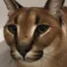 fatfuck