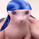 bingusdurag