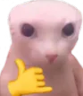 Bingus