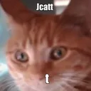 jcatt Discord Emoji