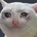 Sob sob Discord Emoji