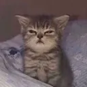 tired