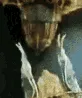 pappappapturtle