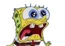 sob