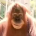 monkesmile
