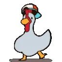 shubadancepopodak