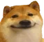 scp939