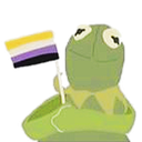 KermitPride_NonBinary Discord emoji