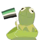 KermitPride_Aromantic Discord emoji