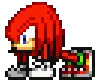Knuckles_Gym Knuckles_Gym