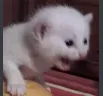AAAAAAA AAAAAAA