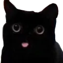 CC_catblep CC_catblep