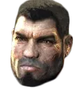 DomFace