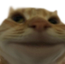 fren Discord emoji