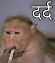 dukh