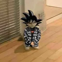 Yohomiesbiggokuhere