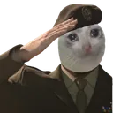 Himitsu_CatCrySalut