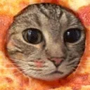 Pizzacat PizzaCat Discord Emoji