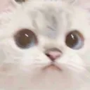 stare