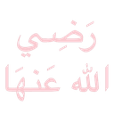 ST_1RAdiyallahu_anha Discord emoji