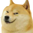 dogesmirk