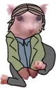 bobus