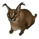 big_floppa